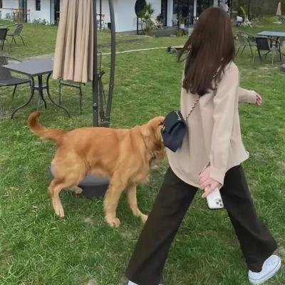 狼少女与黑王子