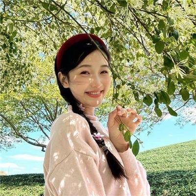甜木兰第四季
